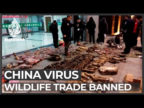 China cracks down on wildlife trade amid coronavirus outbreak
