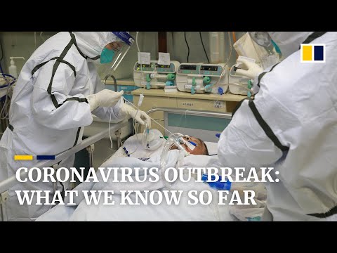 Coronavirus: what we know so far about the outbreak spreading in China and abroad